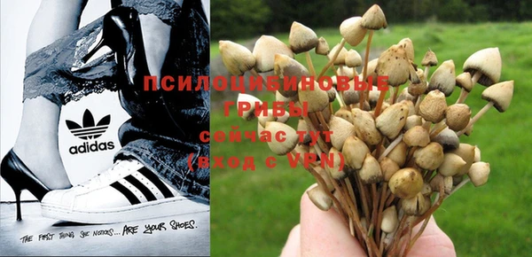метамфетамин Лиски