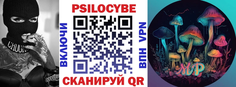 Псилоцибиновые грибы мицелий купить наркоту Урень